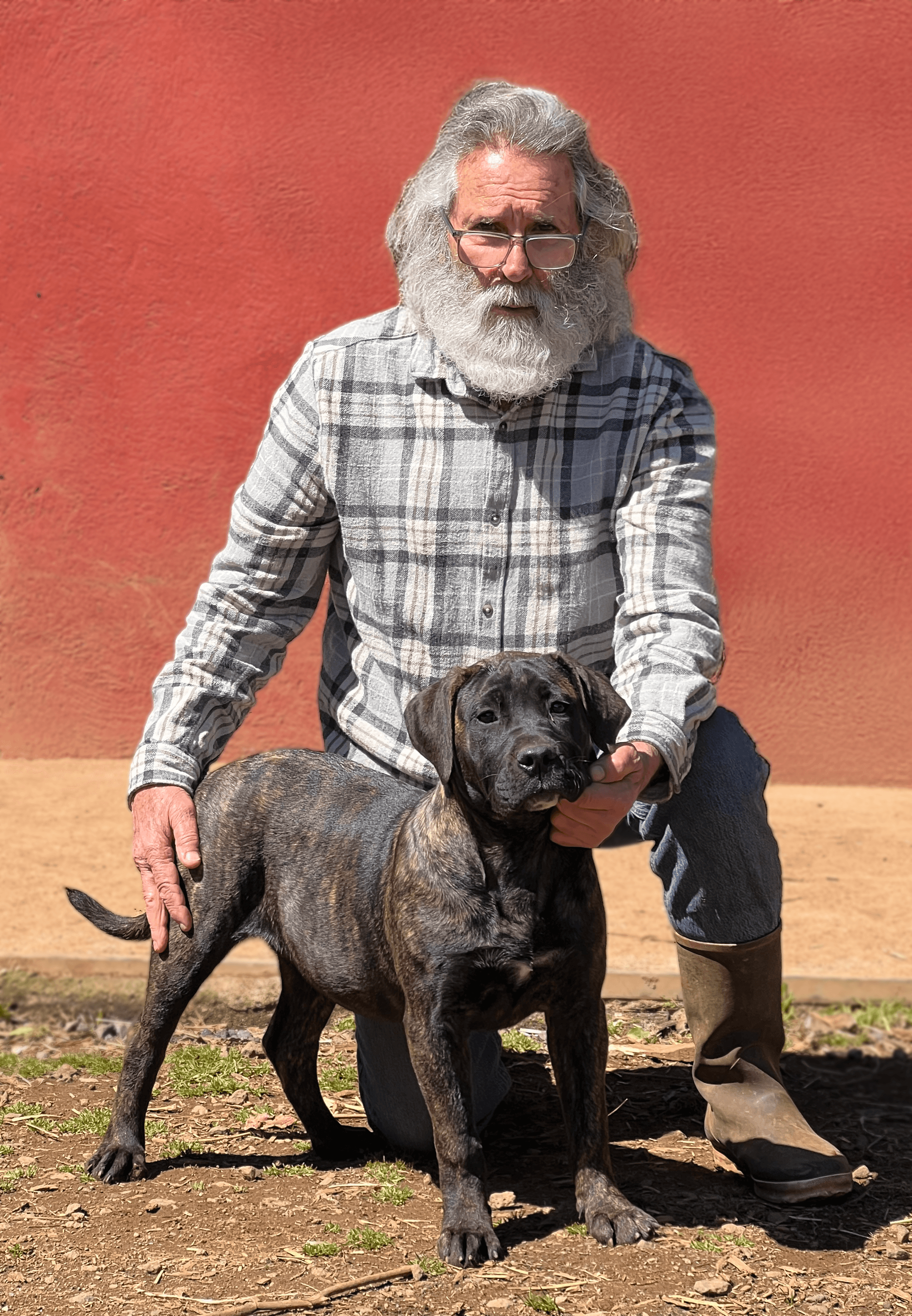 Manuel Curtó Gracia con un cachorro de Presa Canario