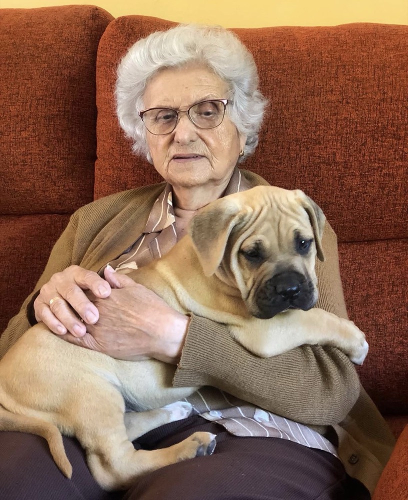 Cliente de Irema Curtó con su Perro de Presa Canario